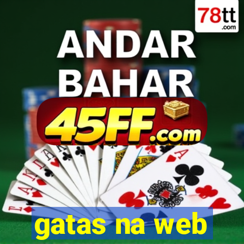 gatas na web